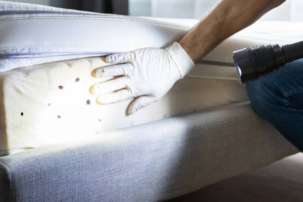 Best Affordable Pest Control Services  in Otsego, MN