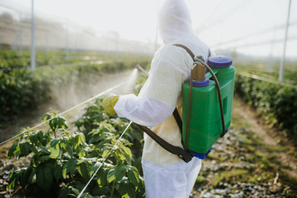 Best Pest Prevention Services  in Otsego, MN